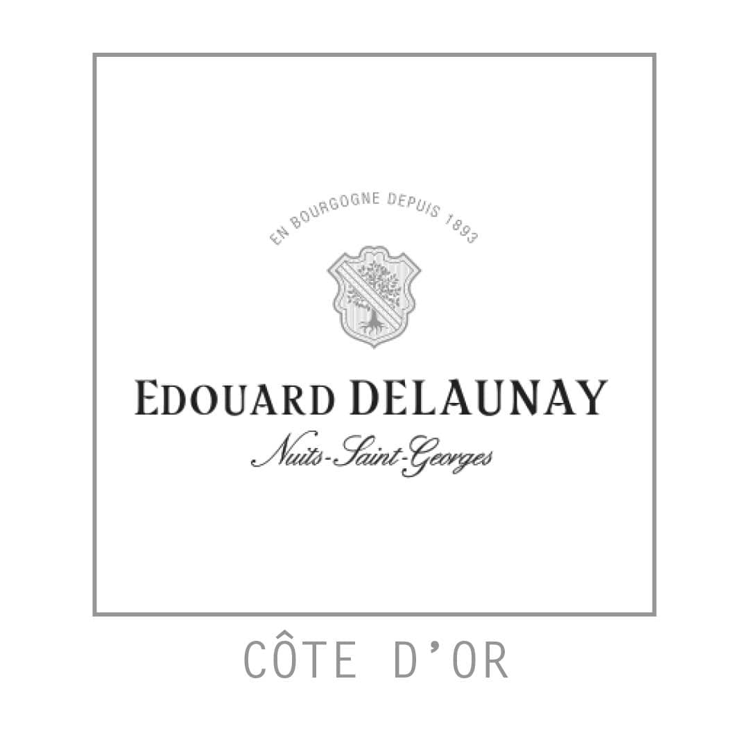  Eduard Delaunay