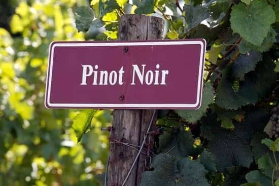 De heerlijkheid van Pinot Noir