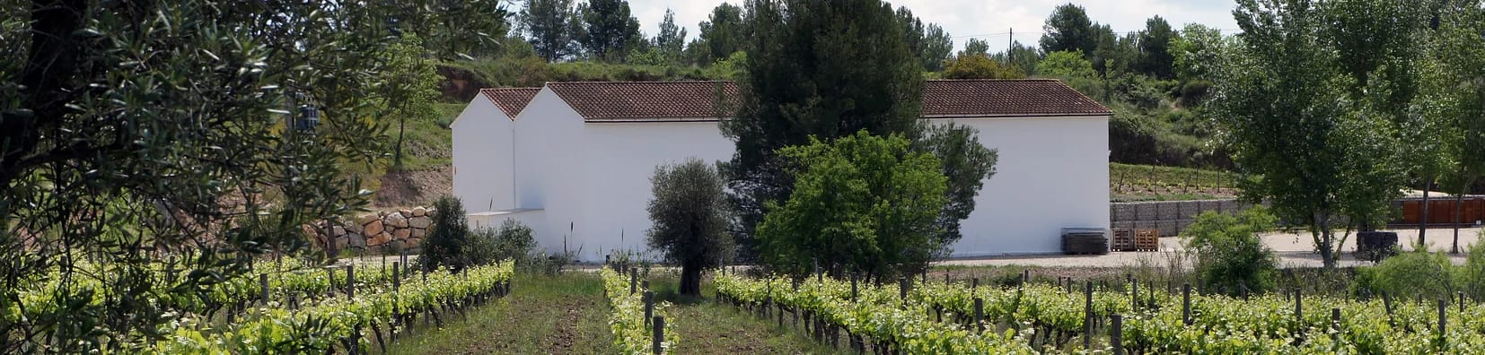 Maria Casanova Cava